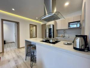 Kuchyň nebo kuchyňský kout v ubytování SPECTACULAR SUITE + 3 fotografie