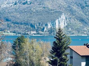 a view of a lake in front of a mountain at Lac arte postale in Annecy