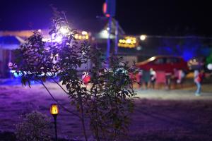 a tree with a light on it at night at Windchime Cottages in Alibaug