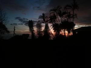 Φωτογραφία από το άλμπουμ του The Little House by the Sea σε Port Edward
