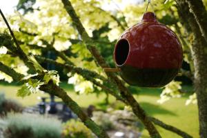 Bilde i galleriet til Applecroft House i Killarney