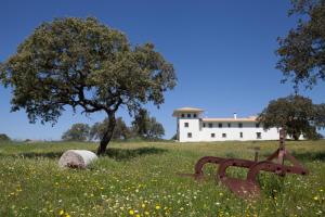 un campo con un edificio y un árbol y una roca en Cortijo Los Lomillos - La Encina, 