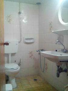 a bathroom with a toilet and a sink at Pension Gina in Methana