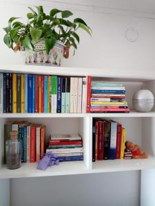 a book shelf filled with books and a potted plant at Appartamento Lavanda - Casa vacanza nel Delta del Po 