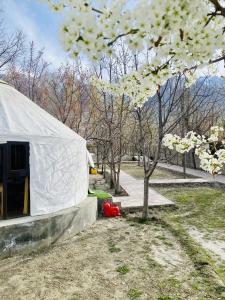 a white tent in a park with a tree at APEX Le Yurt Skardu in Skardu