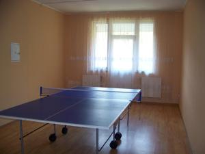 Stolní tenis v ubytování Smerichka nebo okolí