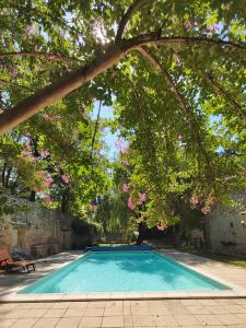 - une piscine sous un arbre avec des fleurs roses dans l'établissement Domaine de l'Esquibat, à Fumel