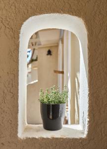 a potted plant sitting on a window sill at Mila Malia Studios Hotel in Malia