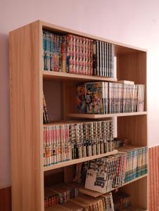 a book shelf full of dvds at BLANK GUEST HOUSE in Siem Reap