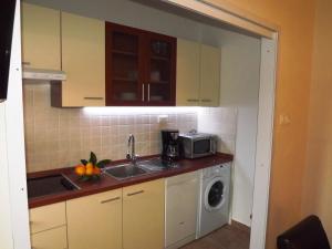 Kuchyňa alebo kuchynka v ubytovaní Apartment Biočić