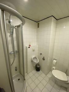 uma casa de banho com um chuveiro, um WC e um lavatório. em Willkommen im Herzen Nürnbergs em Nurembergue