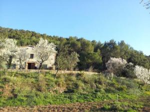 ein Haus inmitten eines Feldes mit Bäumen in der Unterkunft MASIA CAN SUNYER AGROTURISMO in La Garriga