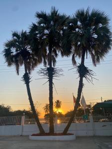 three palm trees in front of a sunset at TETE PALM HOTEL in Vila-de-Santiago-Maior