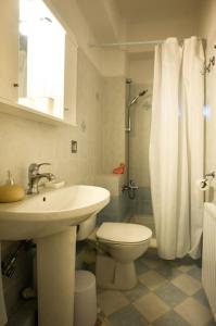 een badkamer met een wastafel, een toilet en een douche bij Σπίτι με Τζάκι & Θέα in Mesinón