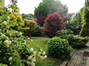 a garden with many bushes and trees at Grossmann Apartment in Ljutomer