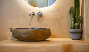 a bathroom with a bowl sink and a cactus at The Roof-Top in Megalochori