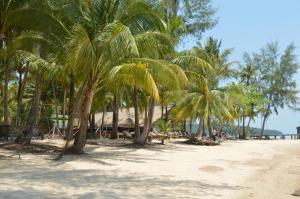 Naturlandschaft in der Nähe des Resorts