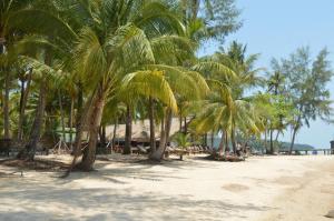 a group of palm trees on a sandy beach at Palm Beach Bungalow Resort in Koh Rong Island