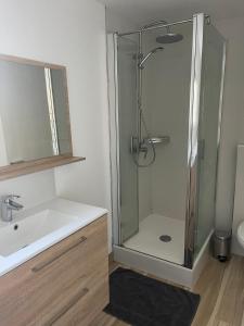 een badkamer met een douche en een wastafel bij Les Bambous in Poissy