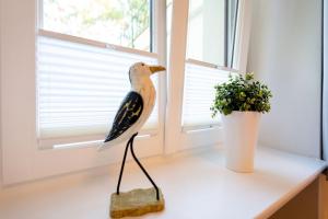 Fotografie z fotogalerie ubytování Villa Medici Heringsdorf App 01 v destinaci Bansin