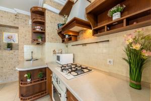 a kitchen with a stove and a counter top at 2к квартира на Шота Руставелі, Бессарабка in Kyiv