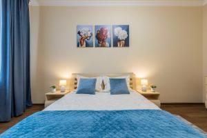 基輔的住宿－2к квартира на Шота Руставелі, Бессарабка，一间卧室配有一张带蓝色枕头的大床