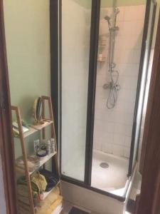uma cabina de duche na casa de banho com um chuveiro em Charmant T2 avec jardin commun em Saint-Fons