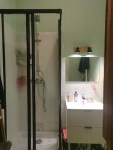 uma casa de banho com um chuveiro e um lavatório. em Charmant T2 avec jardin commun em Saint-Fons