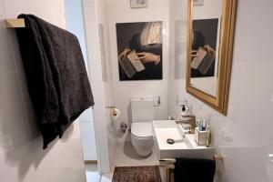 a bathroom with a sink and a toilet and a mirror at Exclusive apartement in historic center in Linz