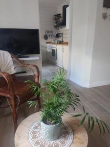 a living room with a table with plants on it at El Géiser de Pozuelo in Pozuelo de Aragón