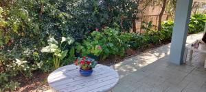 un tavolo con una pianta in vaso su un patio di Lenia's 1 a Artemida
