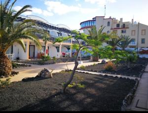 un piccolo albero in un cortile di fronte a un edificio di Appartamento sorelle A&C a Costa de Antigua