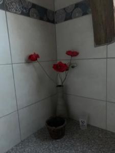 Kúpeľňa v ubytovaní Logis du lac à Madic
