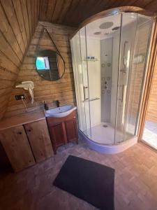 uma grande casa de banho com um chuveiro e um lavatório em Dealu din Vale 