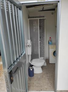 a small bathroom with a toilet and a shower at Antigone Holiday House in Mondello