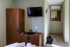 Un televizor și/sau centru de divertisment la Đerdan Garden apartments