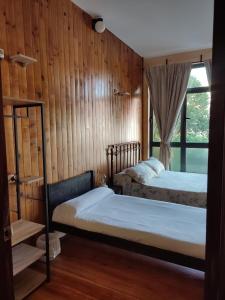 two beds in a room with wooden walls and a window at Hostal la Fruta Nueva apertura in Avilés