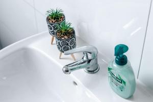 - un lavabo avec un robinet et 2 plantes dans l'établissement Central-Living blue - Netflix - WiFi, à Essen