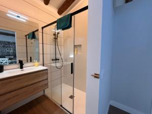 a bathroom with a shower and a sink at 18 Torres Estébanes in Zaragoza