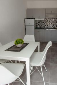 O bucătărie sau chicinetă la Đerdan Garden apartments