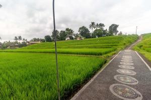Galeriebild der Unterkunft Umasari Rice Terrace Villa by AGATA in Tabanan