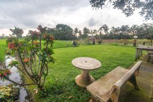 a bench and a bird bath in a park at Umasari Rice Terrace Villa in Tabanan