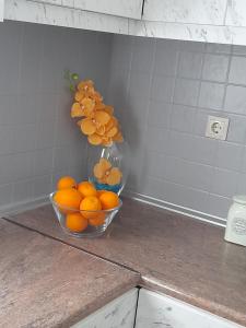 Jídlo v apartmánu nebo okolí