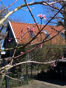 uma casa com um telhado vermelho e uma árvore com flores rosas em het zwaluwnest em Koudekerke