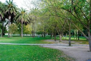 a path in a park with trees and grass at Premium Flat in Upscale Area, Balcony, Parking in Lisbon