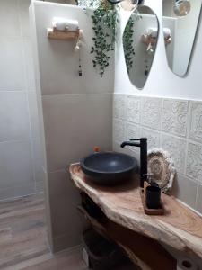 La salle de bains est pourvue d'un lavabo et d'un miroir. dans l'établissement B&B Het Molensteegje, à Andijk