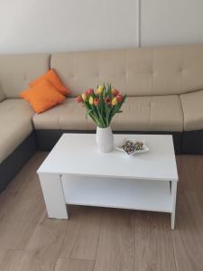 Posezení v ubytování Apartment Premantura