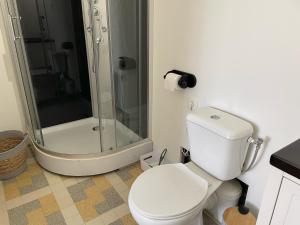 bagno con doccia e servizi igienici bianchi di 32 parc des sports chez catherve a Saint-Médard-de-Guizières
