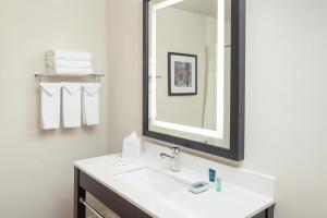 Koupelna v ubytování Four Points by Sheraton Chicago Schaumburg