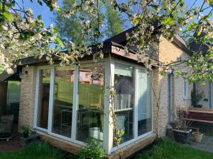 Zahrada ubytování Apartmán Marmeláda